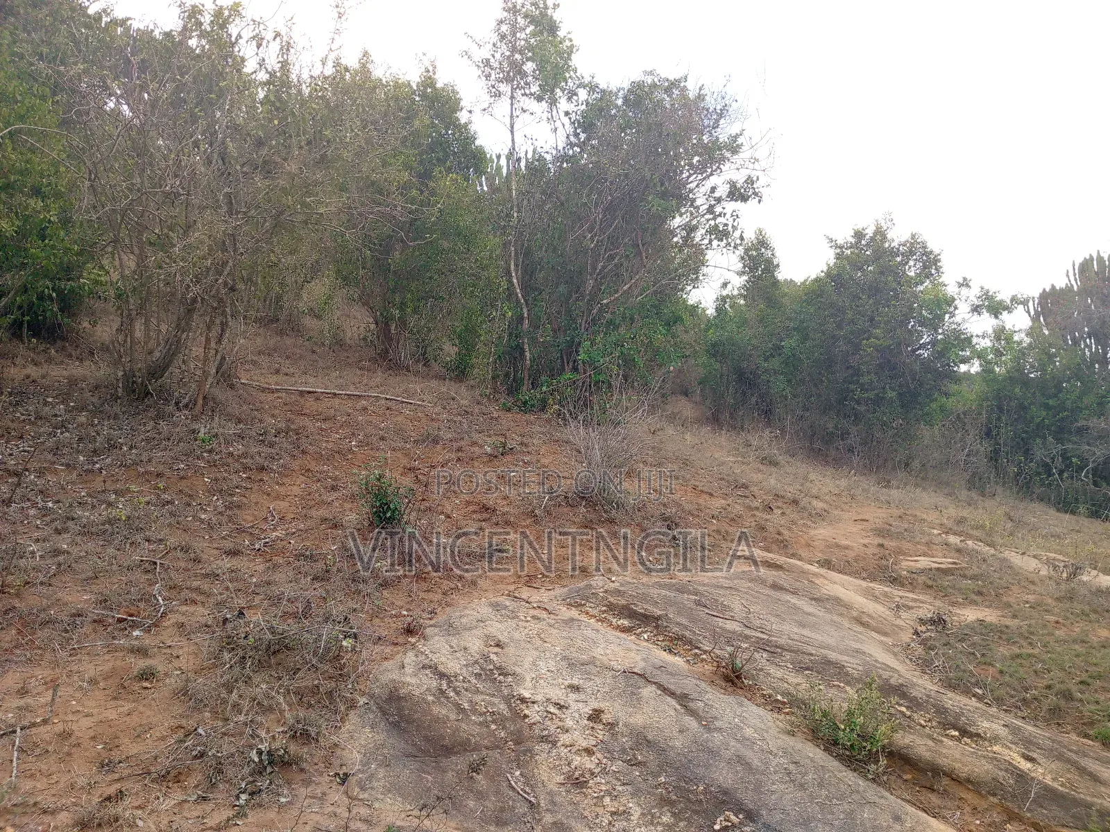 Mua Hills 10 Acres