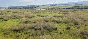 Olkalou 102 Acres for Sale