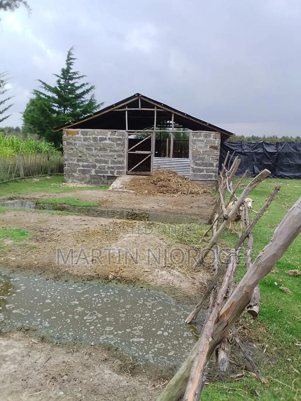 1.75 Acres Memo, North Kinangop - thumbnail 4