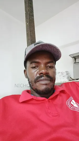 Sales Driver