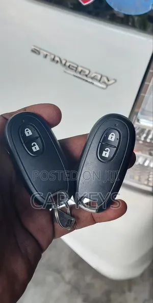 Stingray Key Replacement Services 