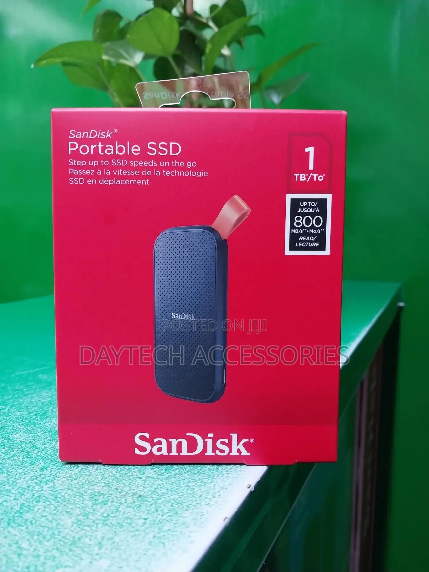 Sandisk E30 1tb External Portable Ssd Drive - 800mbps