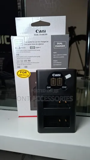 Caisi DMW-Blc12 Dual Charger