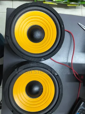Naked Speakers 6.5 Inches Car Door Speaker