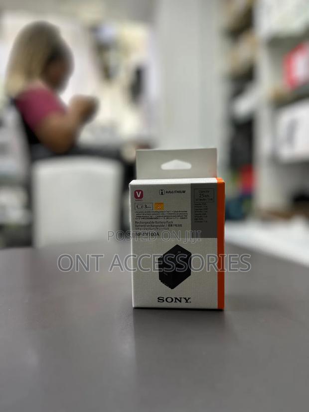 Sony Np-Fv100 Battery - main view