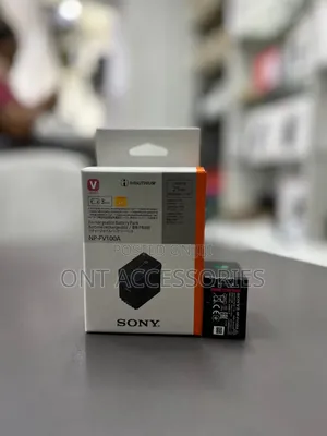 Sony Np-Fv100 Battery