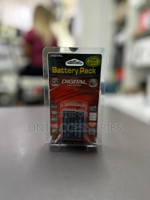 Panasonic DMW Blc12 Battery - main view