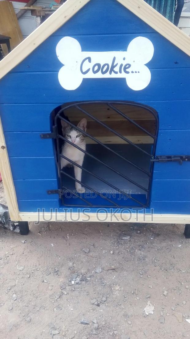 Dog Kennel - thumbnail 5