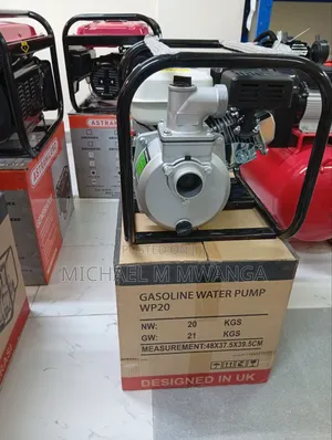 Gasoline Water Pump Wp20