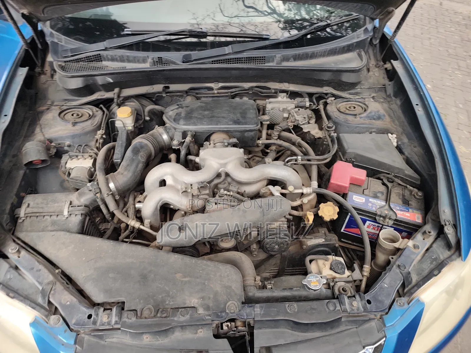 Subaru Exiga 2008 Blue