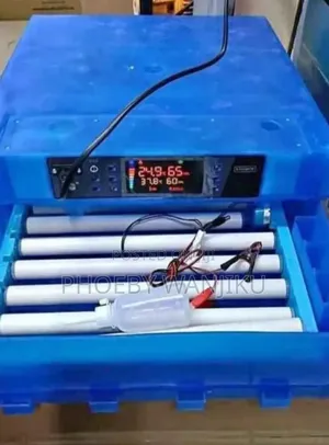 Automatic Egg Incubator/64 Eggs Incubator