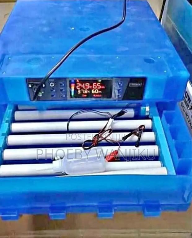 Ideal Incubator/64 Eggs Incubator Machine - main view