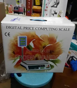 Generic Butchery Digital Weighing Scale Acs 30