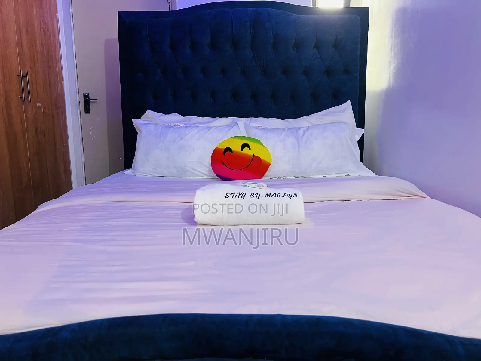 Furnished Studio Apartment in Trm, Roysambu for rent