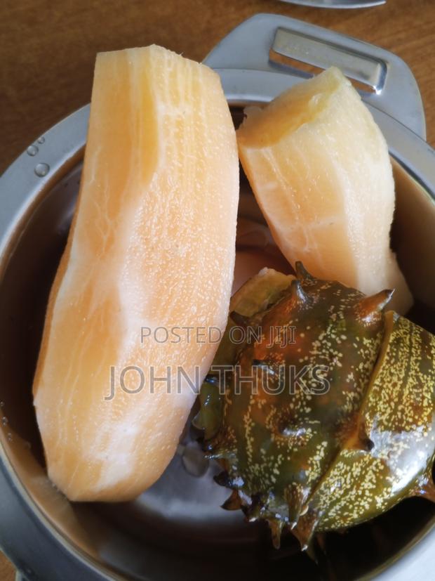 Ground Apples/Yacon - thumbnail 8