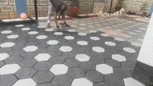 Cabros Pavers Work