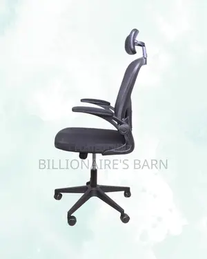 Comfy Grey Ergonomic Office Chair | Padded Armrests