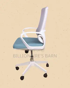 Durable White Ergonomic Mesh Office Chair | Mesh Backrest