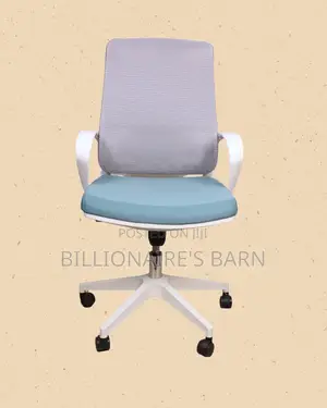Durable White Ergonomic Mesh Office Chair | Mesh Backrest