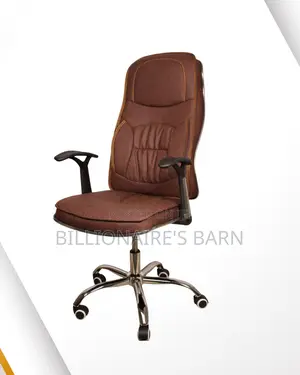 Ergonomic Executive Leather Chair | Premium Swivel Base