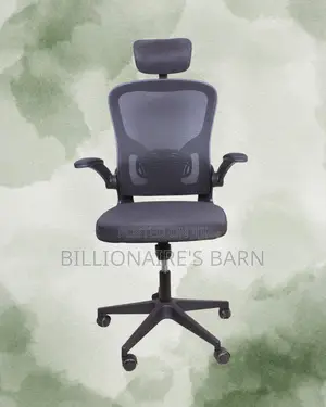 Grey Ergonomic Office Chair (Ergonomic) — Price Drop Today