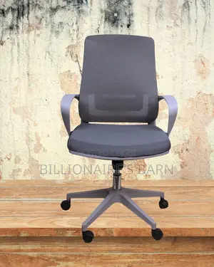 Best-Seller Grey Ergonomic Mesh Office Chair | Nylon Castors