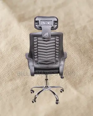 Stylish Secretarial Mesh Chair | Lumbar Support