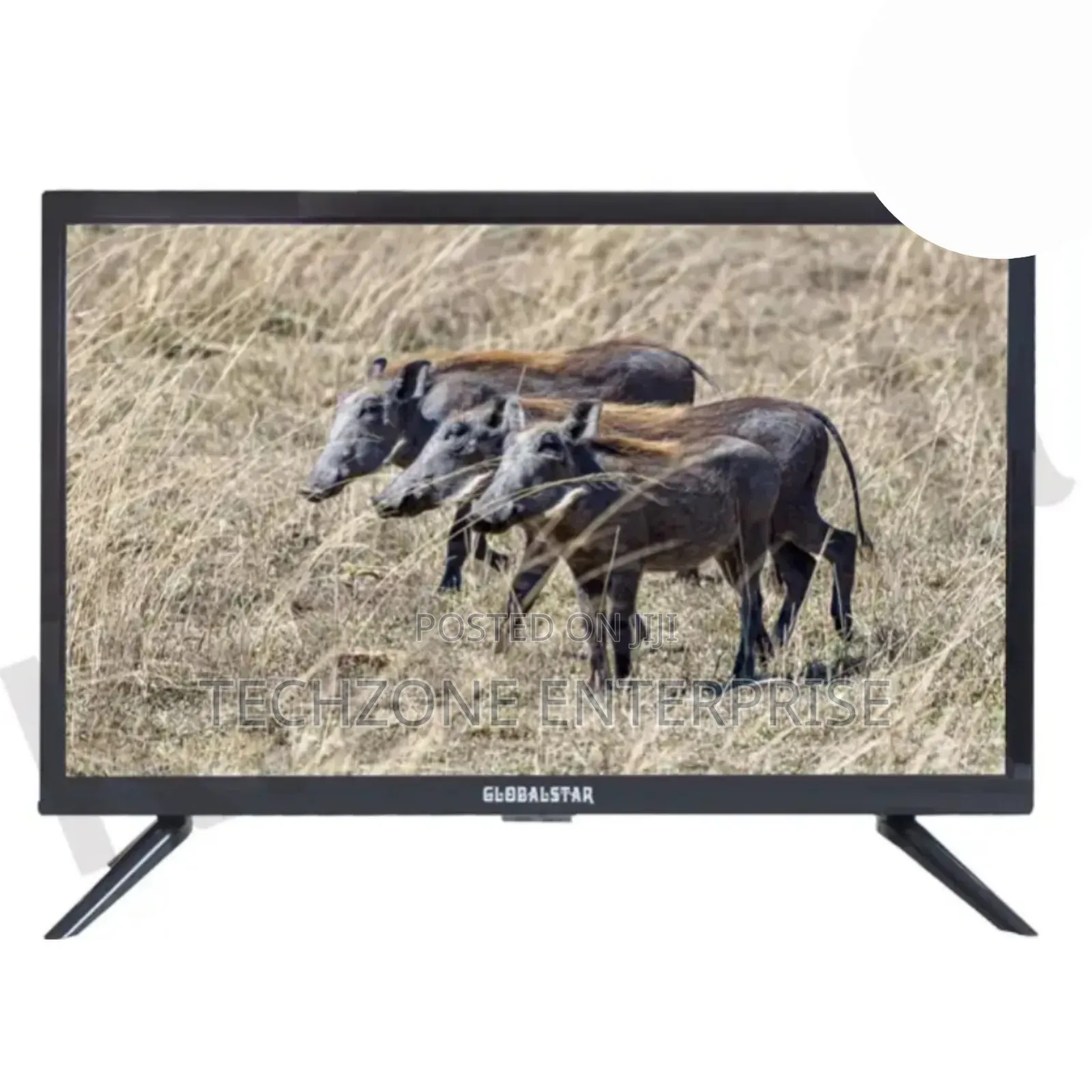 Globalstar 24 Inches Digital Tv