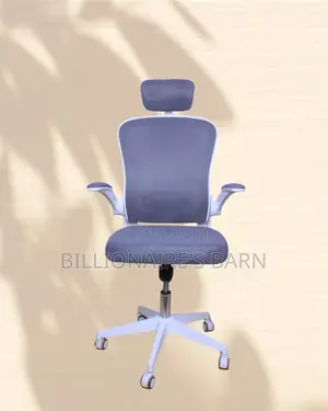 Breathable White Ergonomic Office Chair — Breathable in Hot Weather