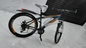 Tanda Size 26 Adult Bike Orange/Black
