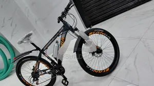 Tanda Size 26 Adult Bike Orange/Black