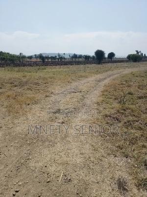 Land on Sale - thumbnail 2