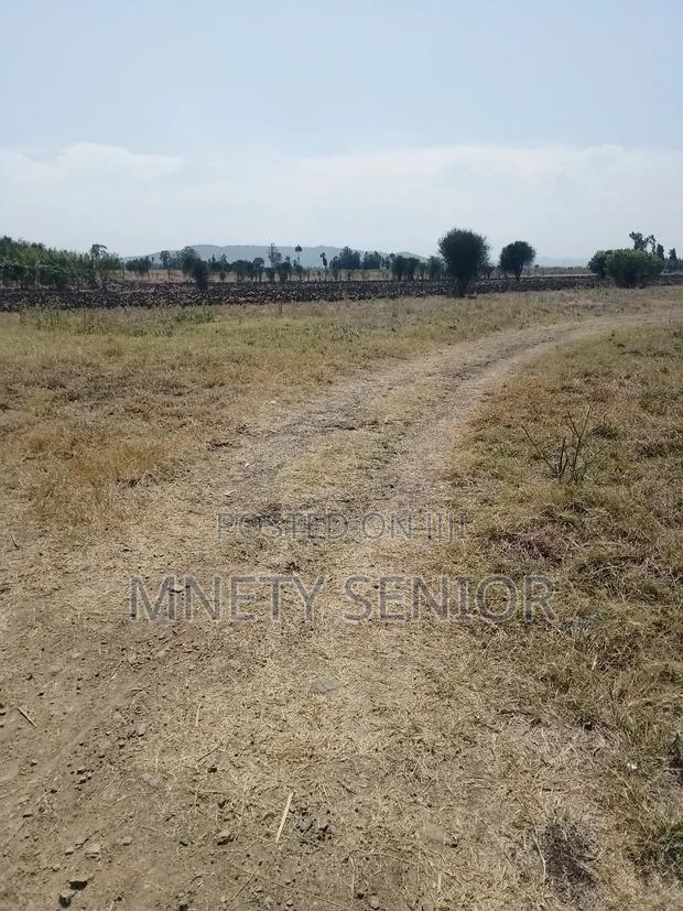 Land on Sale - main view