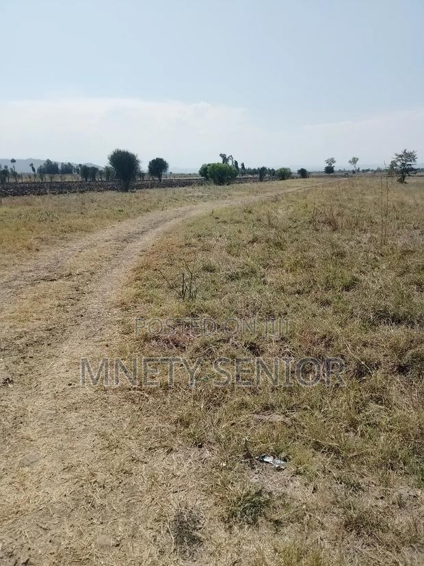 Land on Sale - thumbnail 3