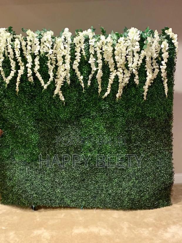 Wallpanels/Hedges for Events Decor/Studio/Entrances Decor - main view