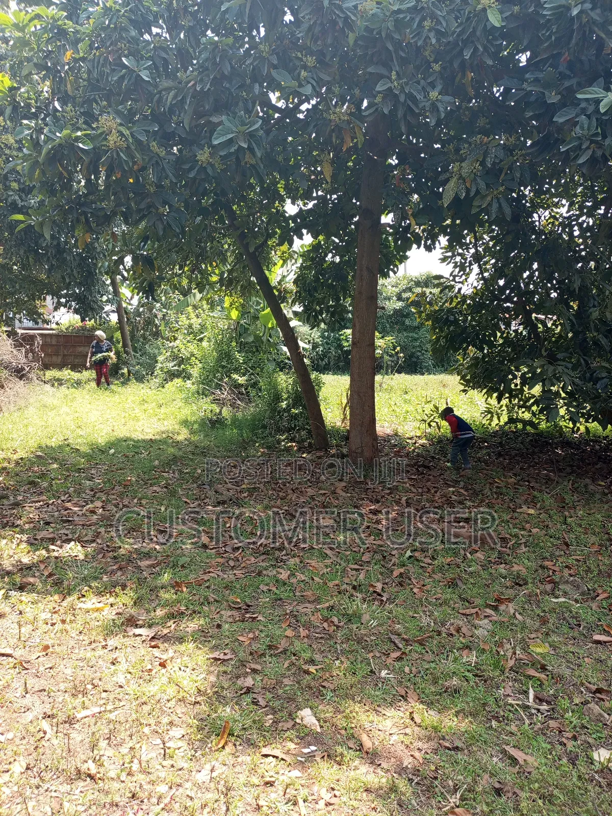 Land for Lease Near Karuri Level 4 Hospital