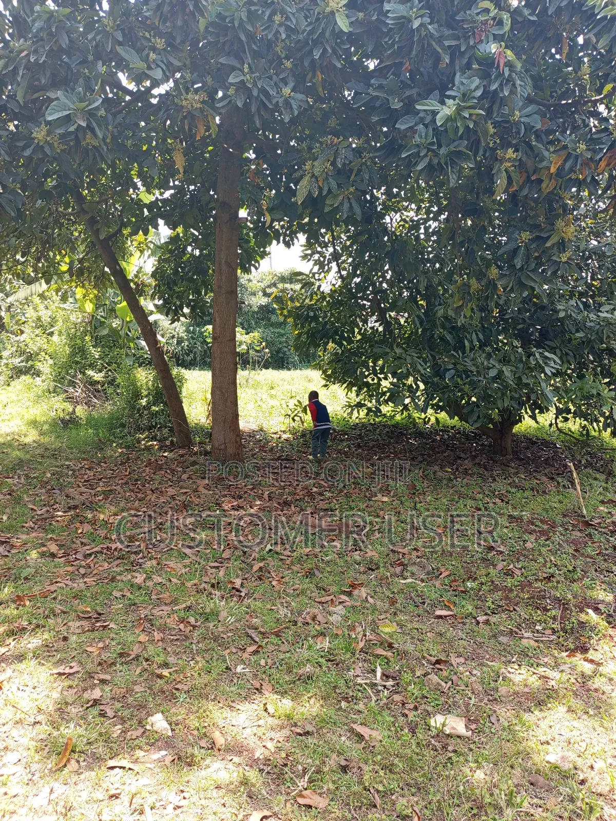 Land for Lease Near Karuri Level 4 Hospital
