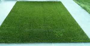 Event Artificial Grass Carpet in Tsavo Road, Odeon, Nairobi