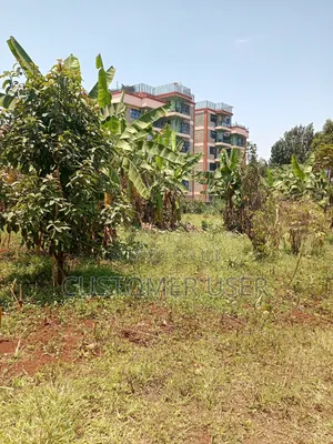 Land for Lease Near Karuri Level 4 Hospital