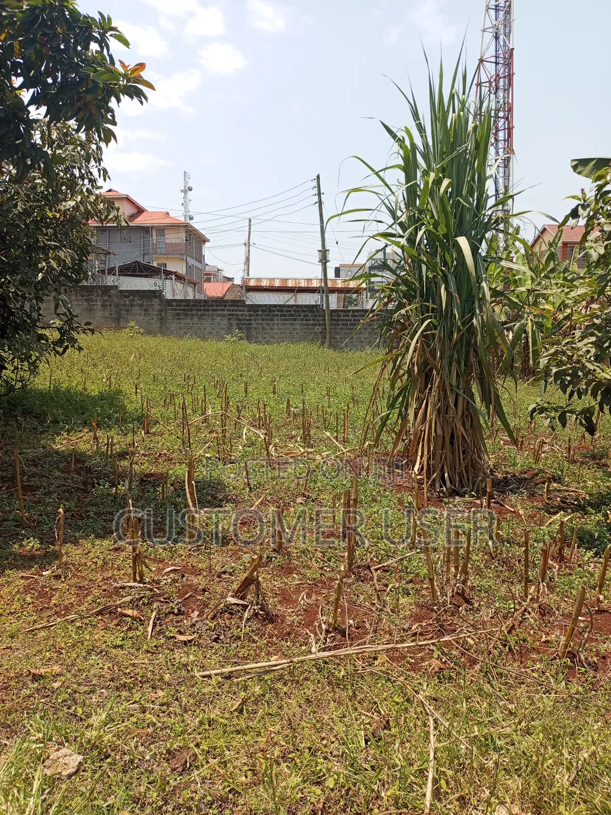 Land for Lease Near Karuri Level 4 Hospital