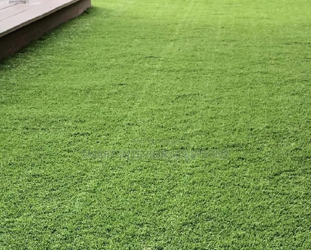 Eco Friendly Grass Carpet - main view