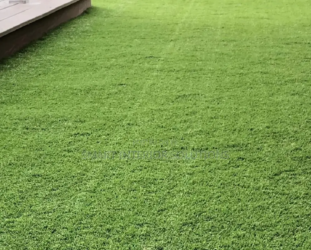 Eco Friendly Grass Carpet in Nairobi – Odeon Area