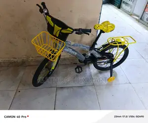 Kids Bicycle With Basket Training Wheels – Durable