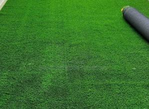 Path Way Grass Carpet - thumbnail 2