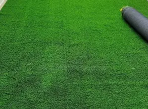 Path Way Grass Carpet for Sale – Tsavo Road, Odeon, Nairobi