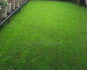 Bedroom Artificial Grass Carpet - thumbnail 2