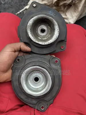 Nissan Top Shock Mountain