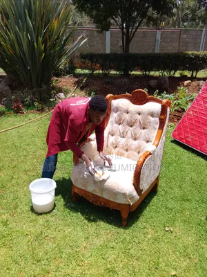 Regular Cleaning Expert Sofa, Mattress,House