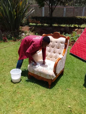 Regular Cleaning Expert Sofa, Mattress,House