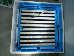 Fully Automatic Ac/Dc 256 Eggs Incubator